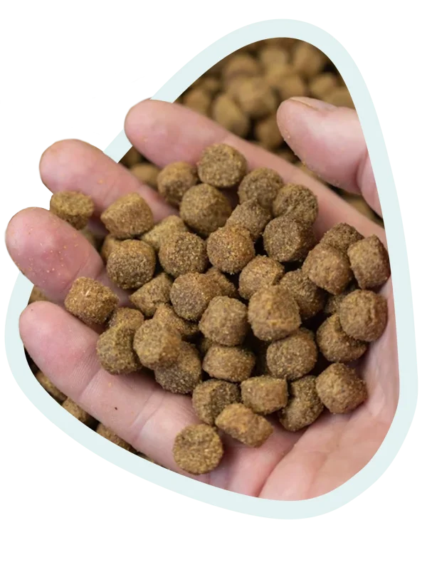 Qualité des plantes et formulation 100% naturelle