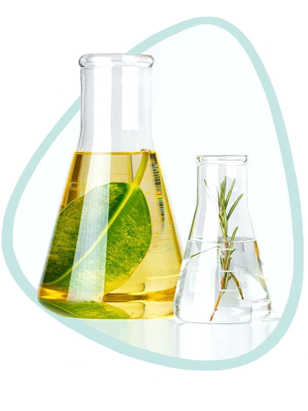 Qualité des plantes et formulation 100% naturelle