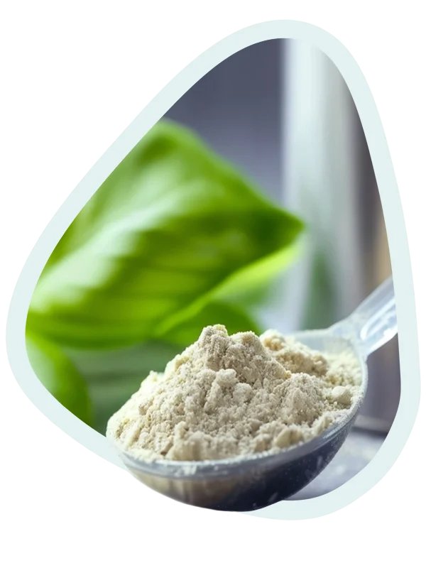 Qualité des plantes et formulation 100% naturelle