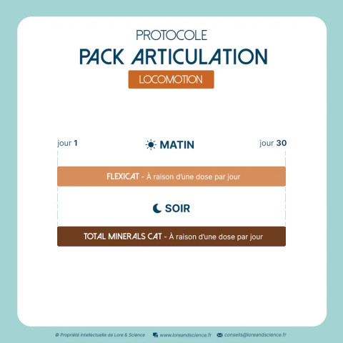 Pack Articulation - Soutien articulaire et motricité chat