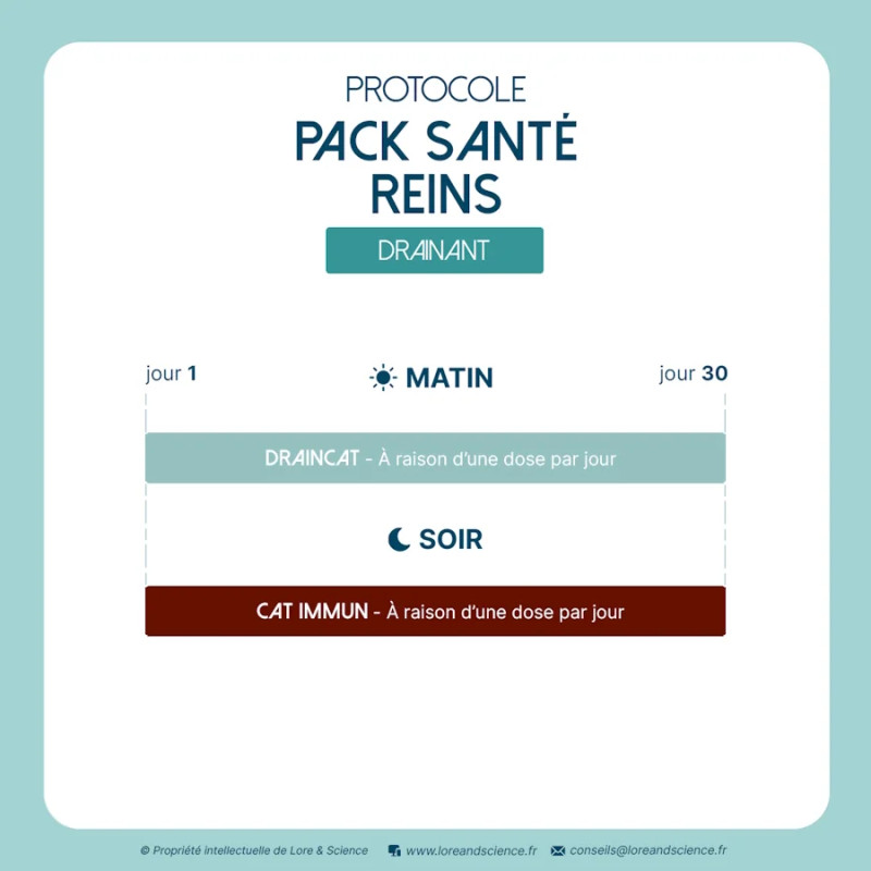Pack Santé Reins - Drainant système urinaire chat
