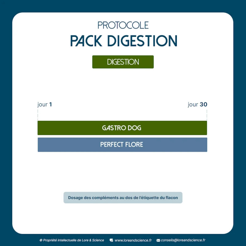 Pack Digestion - Soutien estomac et intestin du chien