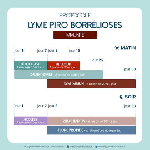 Lym Immun - Soutien d'appoint contexte de Borréliose/Lyme