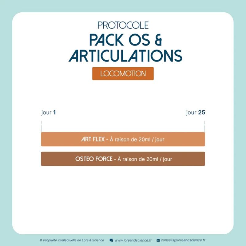 Pack Os & Articulations - Os, Tendons et Cartilages
