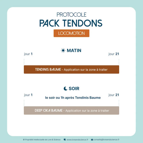 Pack Tendons - Soutien tendons rétablissement cheval