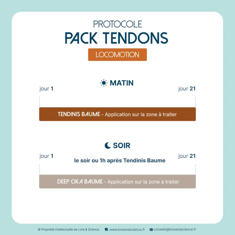 Pack Tendons - Soutien tendons rétablissement cheval