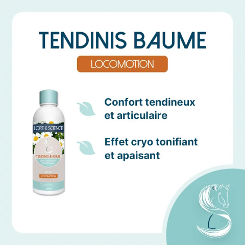 Tendinis Baume - Tendons et articulations du cheval