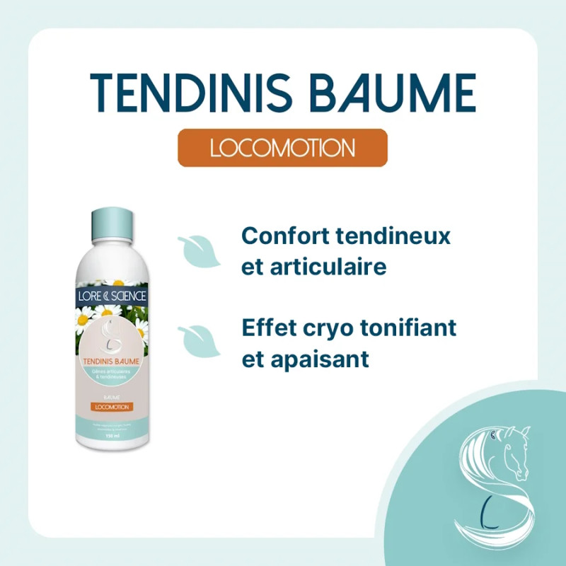 Tendinis Baume - Tendons et articulations du cheval