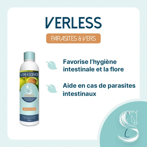 Verless - Vers, parasites et intestins du cheval
