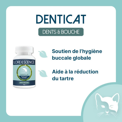 DentiCat - Hygiène et renforcement dentaire chat