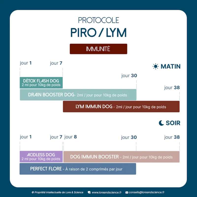 Protocole Piro-Lym Dog pour chien