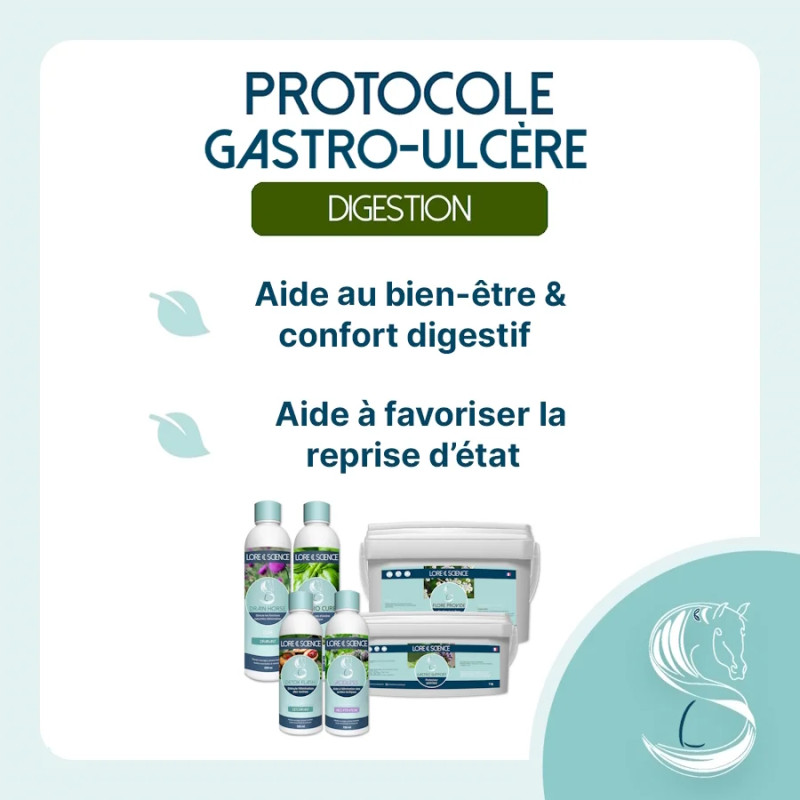 Protocole Gastro-Ulcère pour cheval