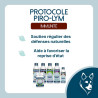 Protocole Piro-Lym Dog pour chien