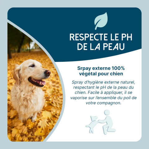 Allergo Derme Dog- Démangeaisons et allergies cutanées du chien