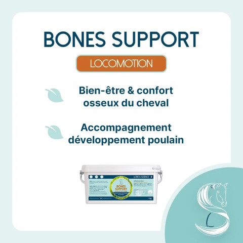 Bones Support - Soutien solidité osseuse du cheval
