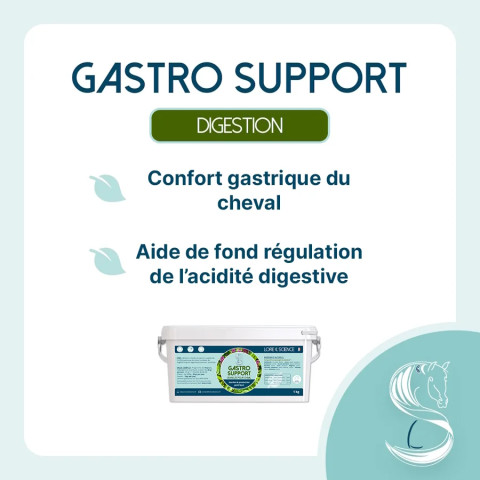 Gastro Support - Soutien gastrique pour cheval