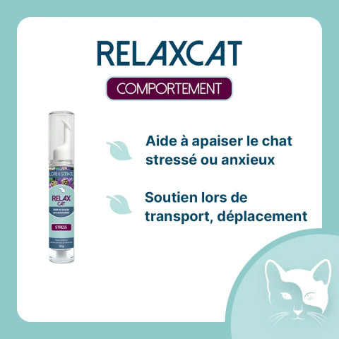 RelaxCat - Anxiété et stress du chat