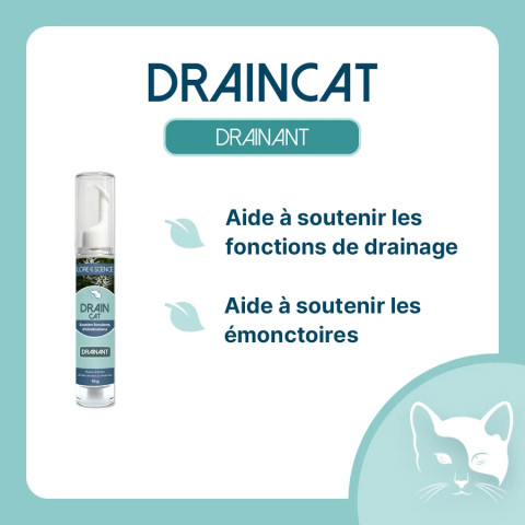 DrainCat - Soutien fonctions naturelles d'élimination chat