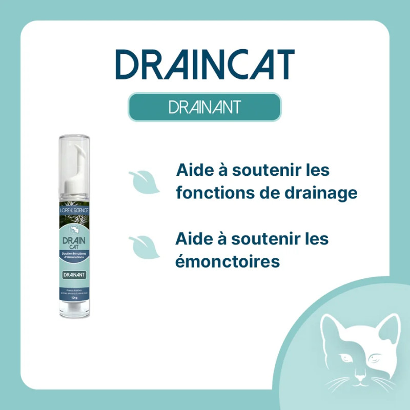 DrainCat - Soutien fonctions naturelles d'élimination chat