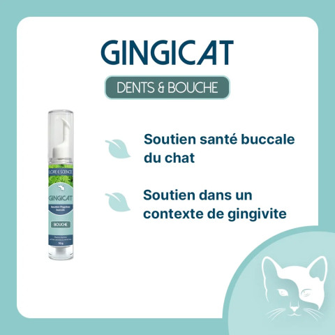 GingiCat - Hygiène buccale du chat