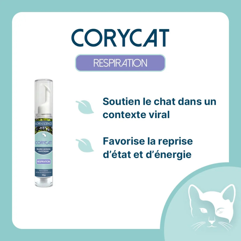 CoryCat -  Soutien contexte viral pour chat