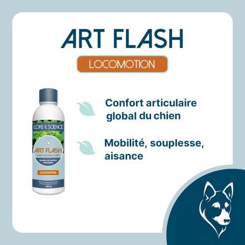Art Flash Dog - Soutien articulaire, boiteries du chien