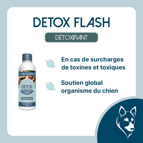Detox Flash Dog - Foie, Reins, organisme du chien