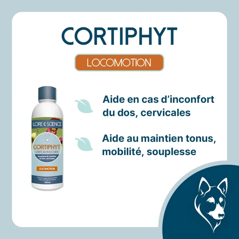Cortiphyt Dog - Soutien dos et cervicales pour chien