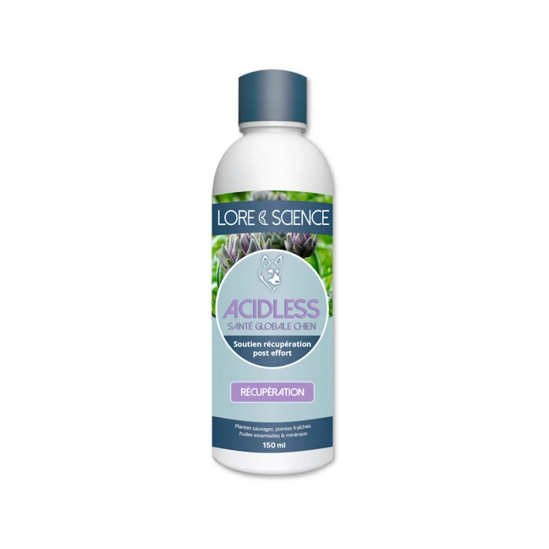 Acidless Dog - Recovery after exercise - Lore & Science