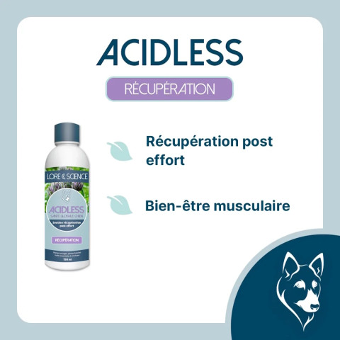 Acidless Dog - Récupération après effort chien de sport