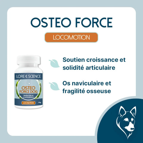 Osteo Force Dog - Soutien fortification osseuse du chien