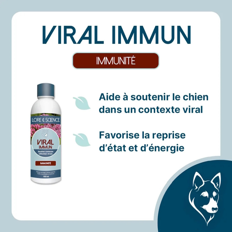 Viral Immun Dog - Aide dans un contexte viral pour le chien