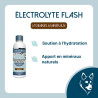 Electrolyte Flash Dog - 75 minéraux assimilables chien