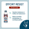 Effort Resist Dog - Énergie et endurance à l'effort du chien