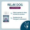 Relax Dog - Stress, anxiété et concentration du chien