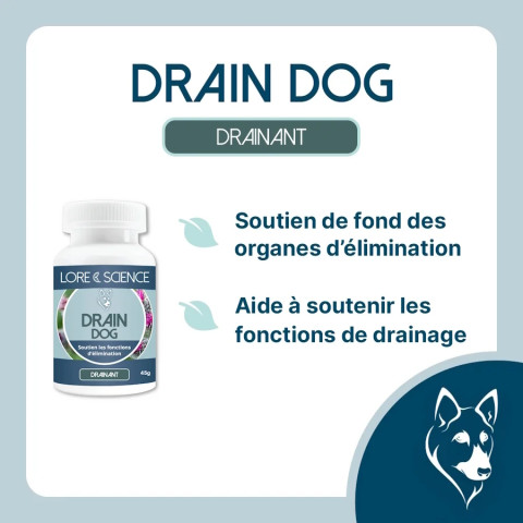 Drain Dog comprimés - Soutien fonctions élimination du chien