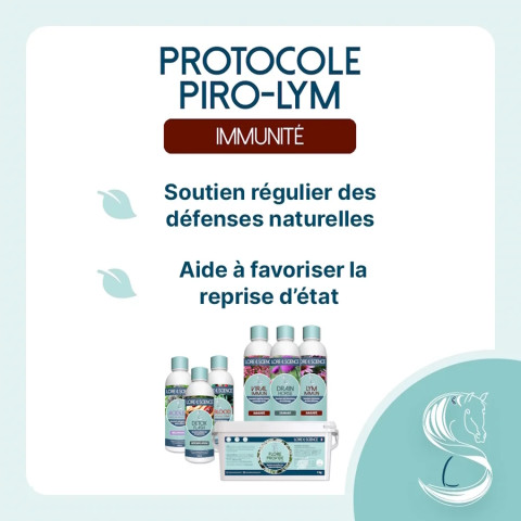 Protocole Piro-Lym - Soutien complet immunitaire cheval