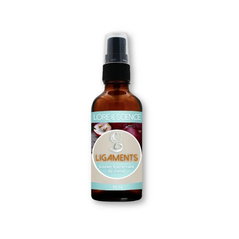 Ligaments - Soutien ligamentaire pour cheval