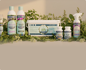? Produits santé chats