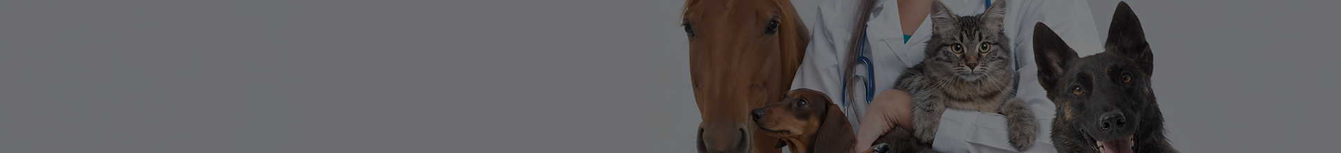 Blog Header