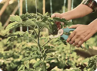 Contrôle laboratoire dopage